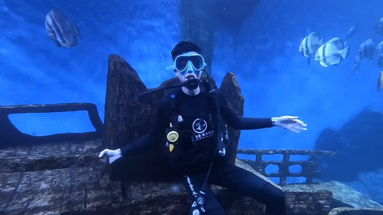 哈哈体育